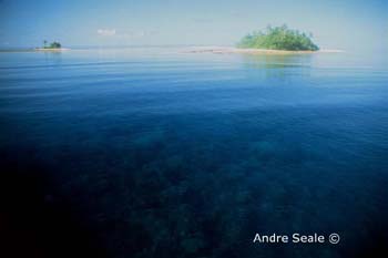 MI92 (island)Andre Seale